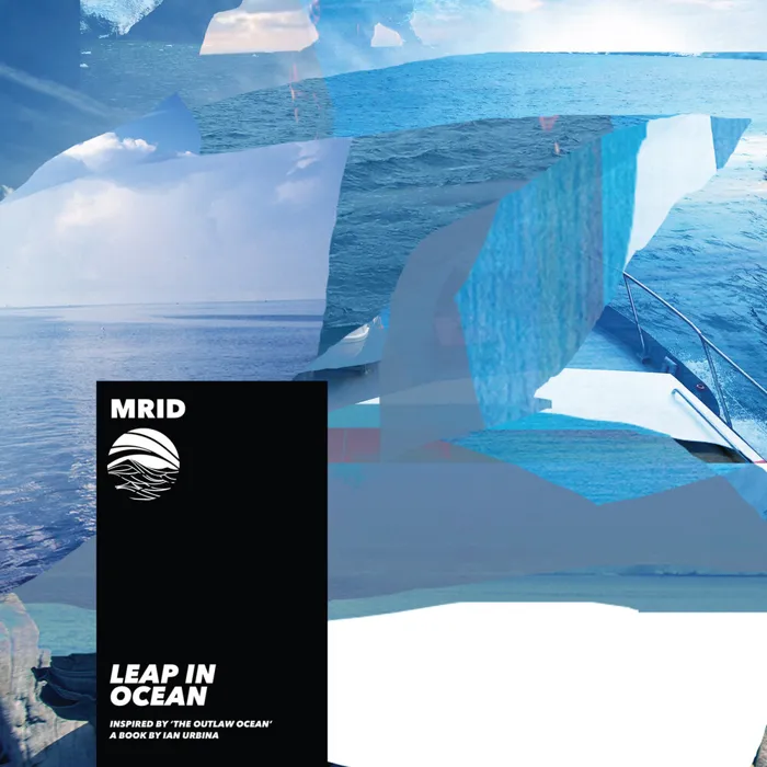 Leap In Ocean (Inspired by ‘The Outlaw Ocean’ a book by Ian Urbina)