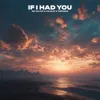 If I Had You
