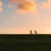 Пополам