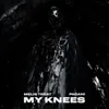 My Knees