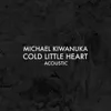 Cold Little Heart