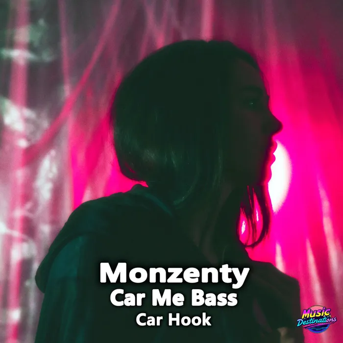 Car Hook