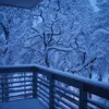 Frozen Air