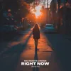 Right Now (Na Na Na)