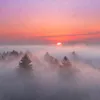Туманы