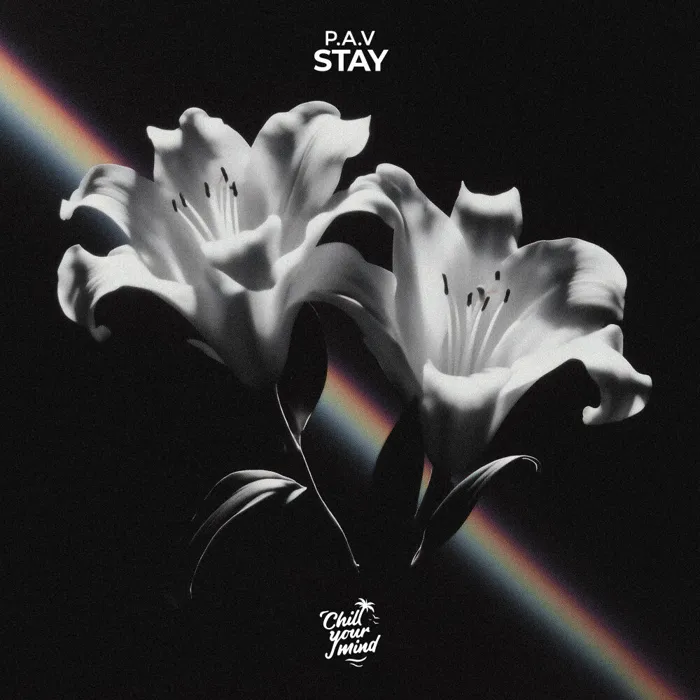 Stay