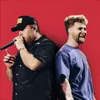 Ordinary  - Live from Lollapalooza
