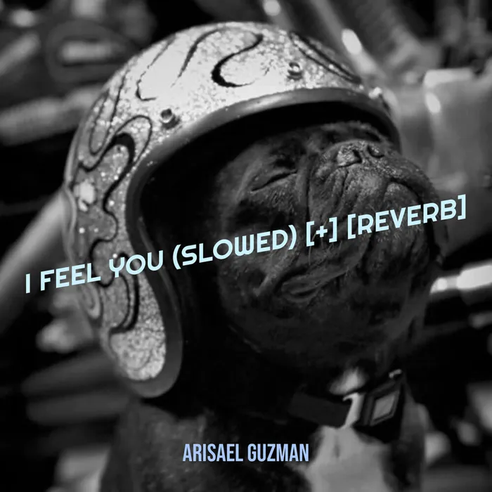 I Feel You (Slowed) [+] [Reverb]