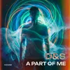 A Part Of Me