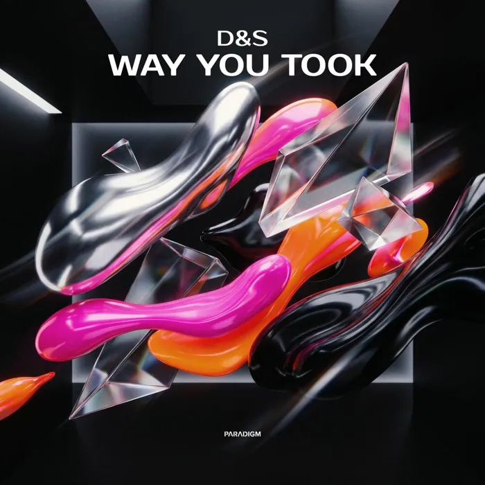Way You Took