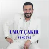 Fendiye