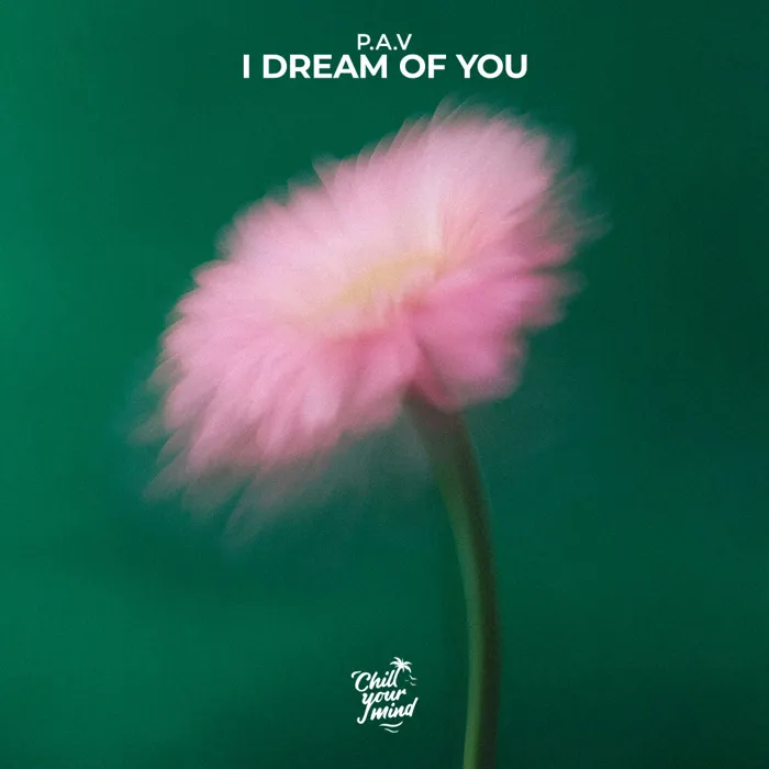 I Dream of You