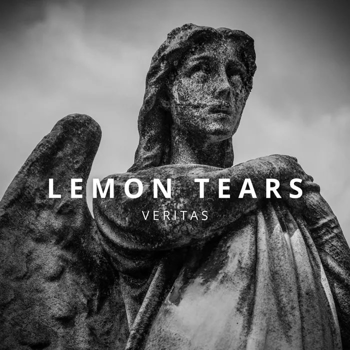 VERITAS
