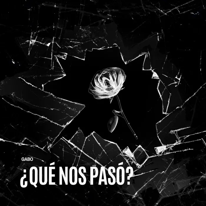 QUE NOS PASO ?