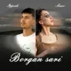 Borgan sari