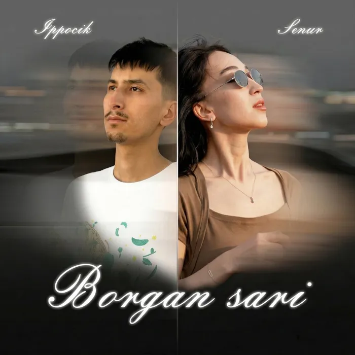 Borgan sari