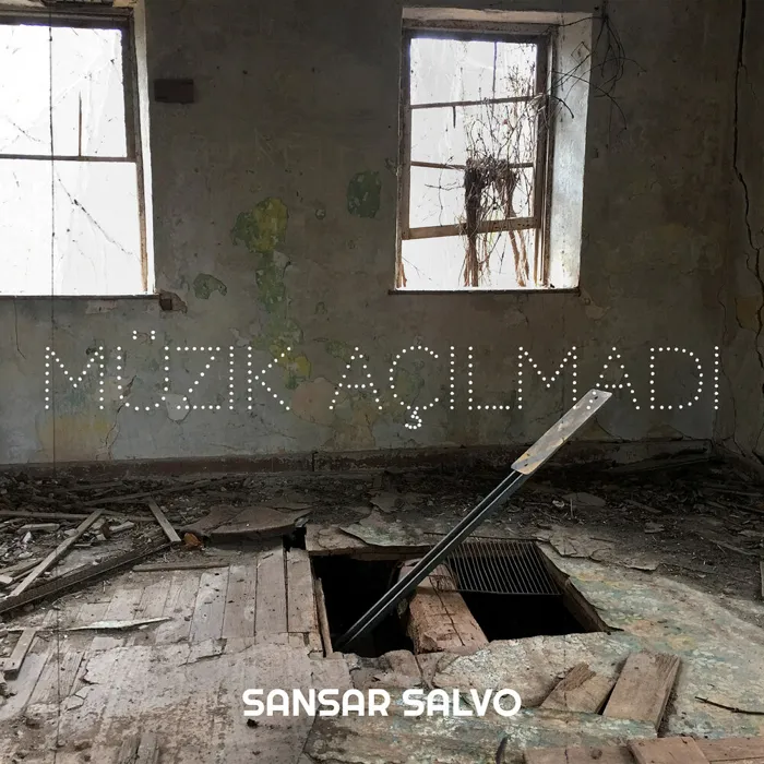 Müzik Açılmadı