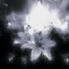 Скорее приходи