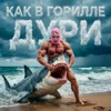 КАК В ГОРИЛЛЕ ДУРИ