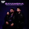 Sanamgina