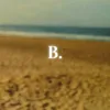 B.