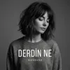Derdin Ne