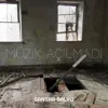Müzik Açılmadı