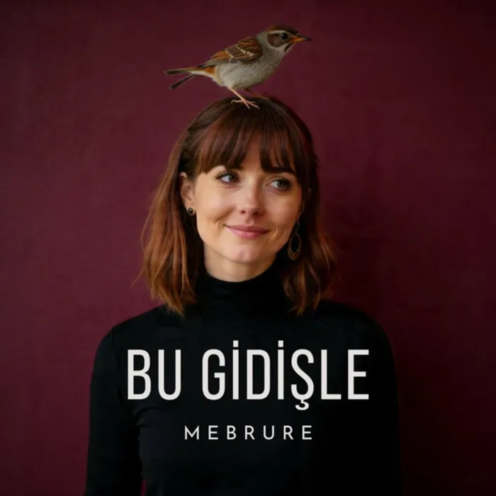 Bu Gidişle