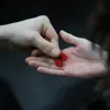 Птиц 2.0