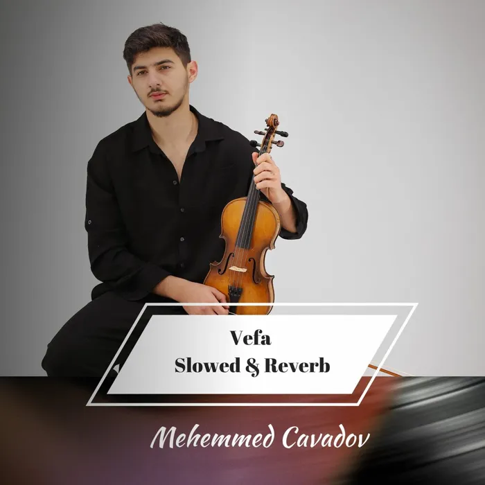 Vefa