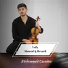 Vefa