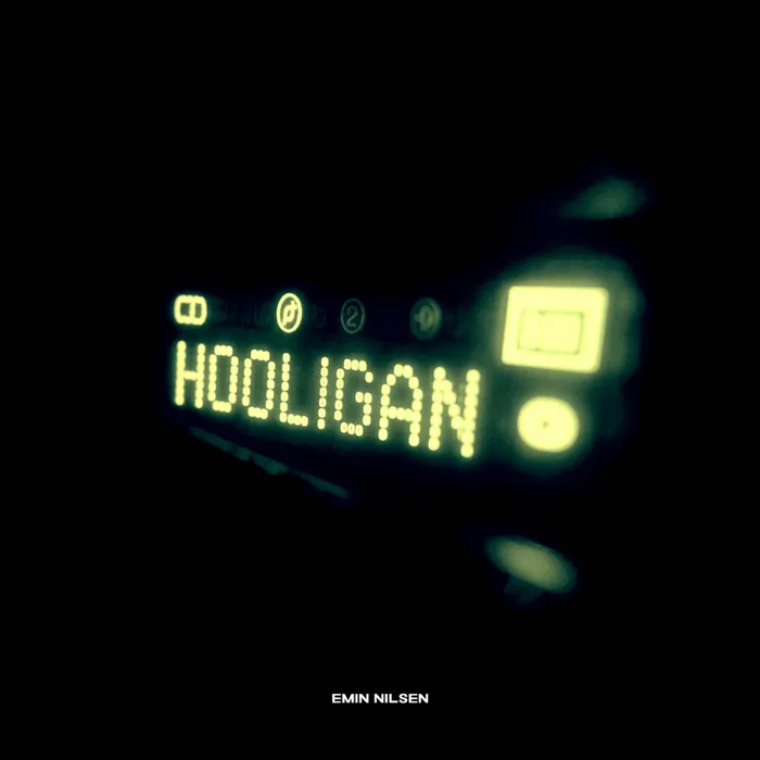 Hooligan