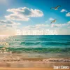 Endless Sea