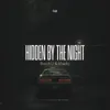 Hidden by the Night