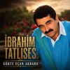 Gökte Uçan Akbaba