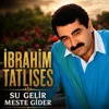 Su Gelir Meste Gider