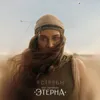 Ястребы