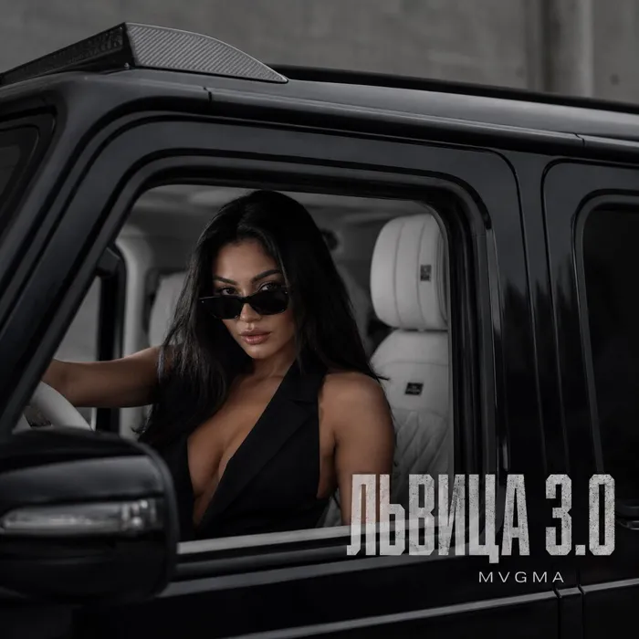 ЛЬВИЦА 3.0