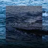 bodrum'un suları
