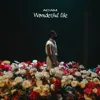 Wonderful life