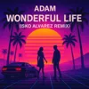 Wonderful life