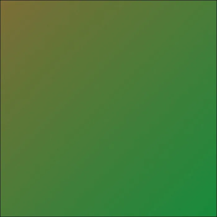 PHONK BRAZIL