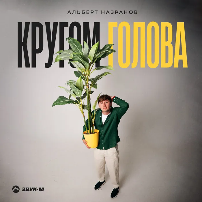 Кругом голова