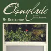 My Reflection