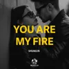 You Are My Fire