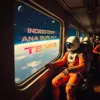 Te Vas