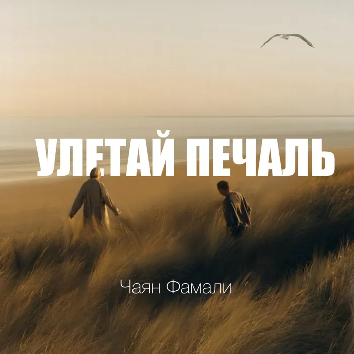 Улетай печаль