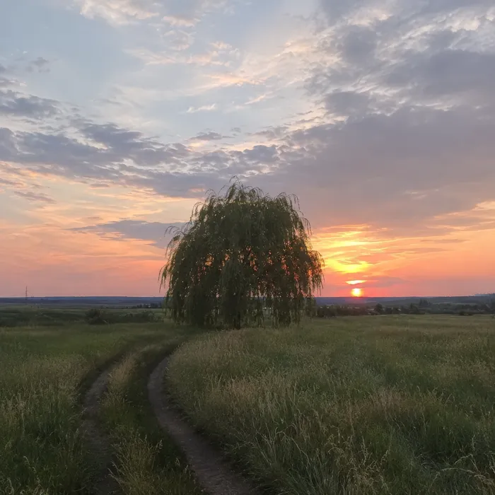 Лишь раз