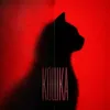 Кошка 2.0