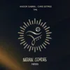 TMS